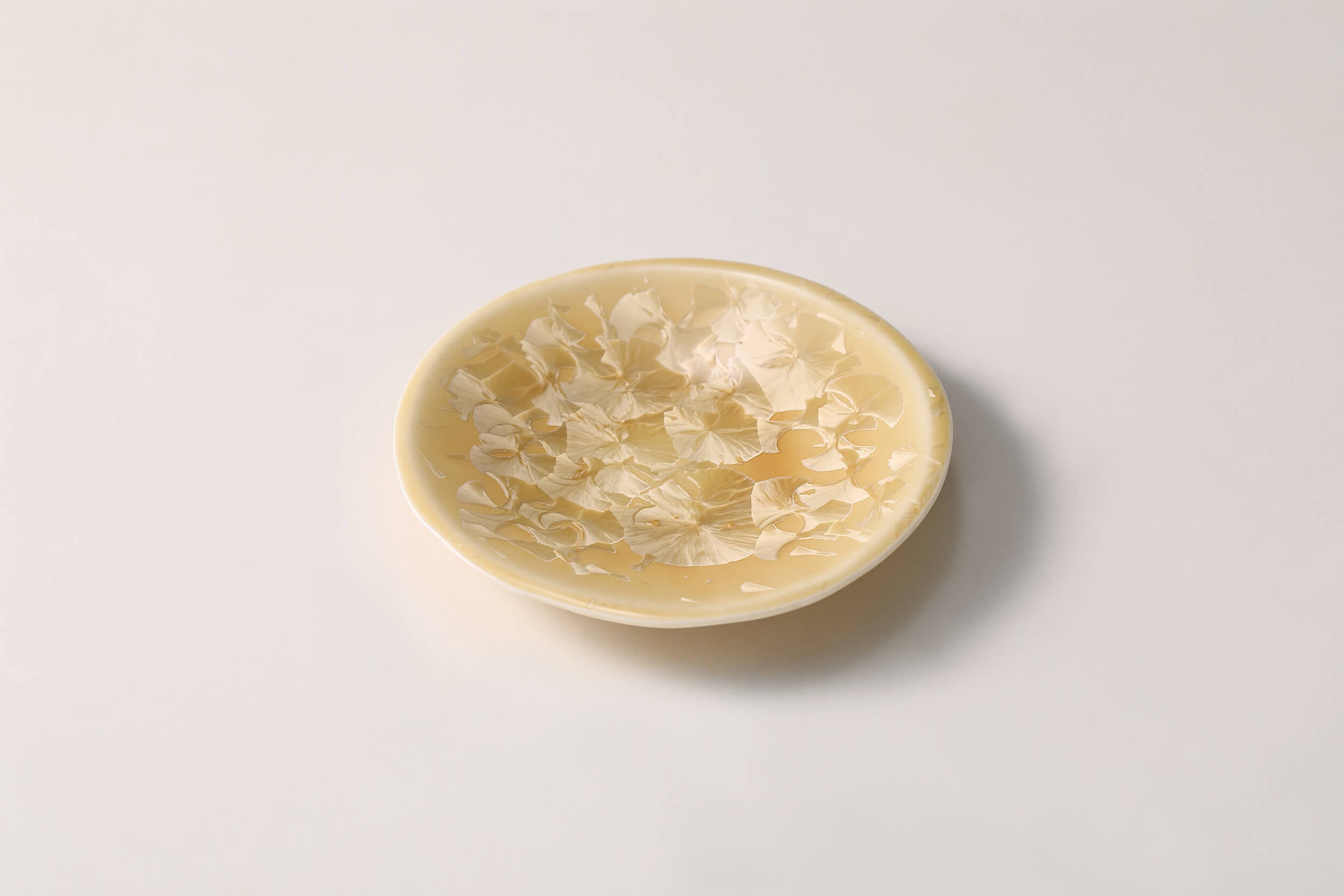 雪ノ華 豆皿5色セット