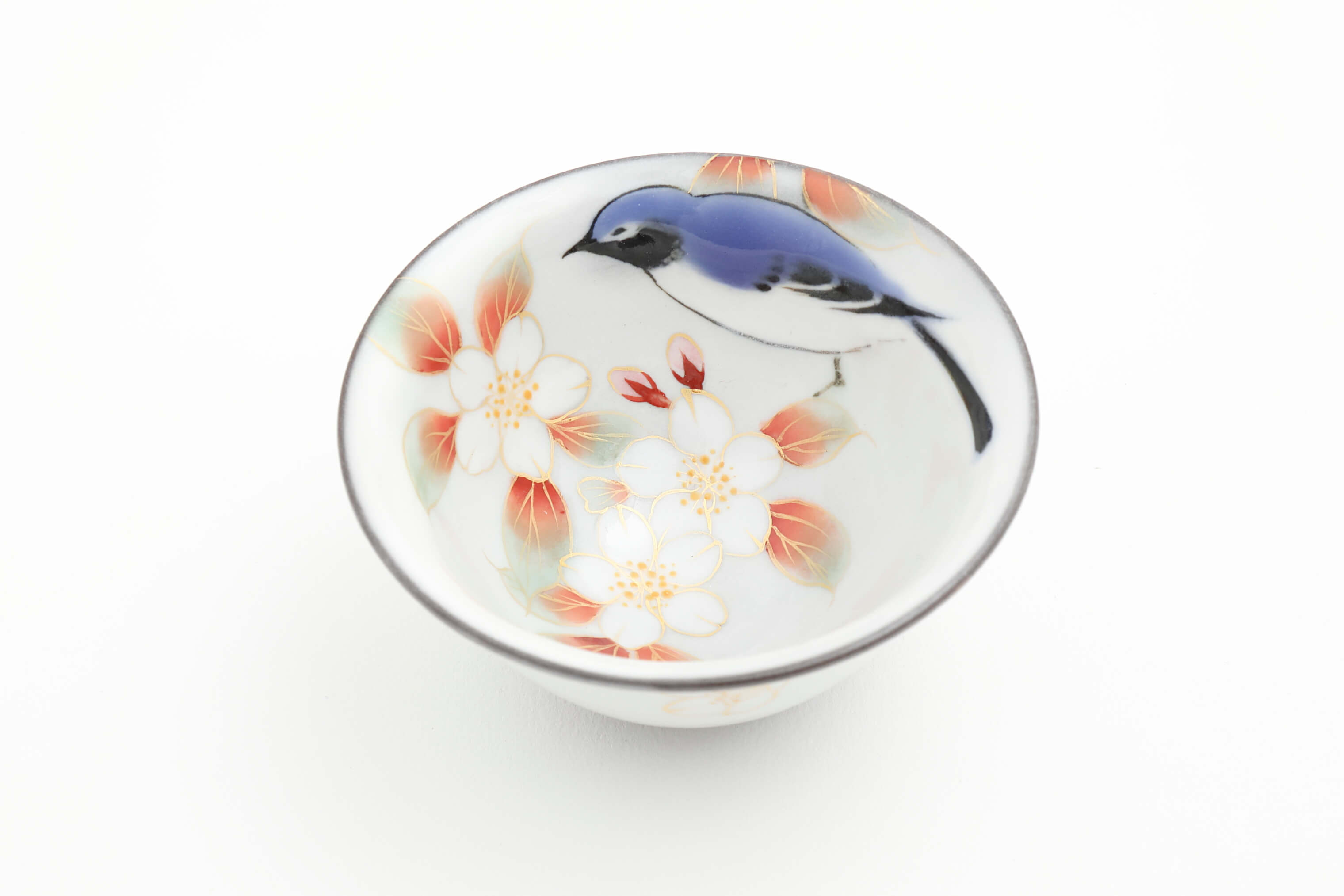 花鳥図 桜 オオルリ 盃