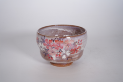 赤土桜 野立